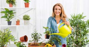 راهنمای جامع نگهداری از گیاهان آپارتمانی مقاوم به کم‌آبی