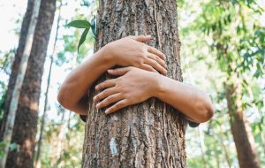 زندگی بدون ضایعات؛ گامی به سوی پایداری و حفظ محیط زیست