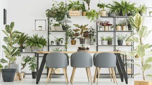 نحوه استفاده از گیاهان زینتی برای زیباسازی فضاهای کوچک